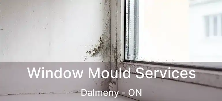  Window Mould Services Dalmeny - ON