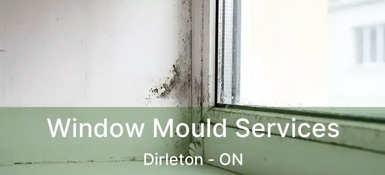  Window Mould Services Dirleton - ON