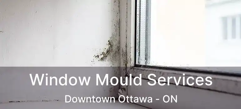  Window Mould Services Downtown Ottawa - ON