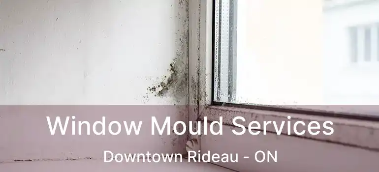  Window Mould Services Downtown Rideau - ON