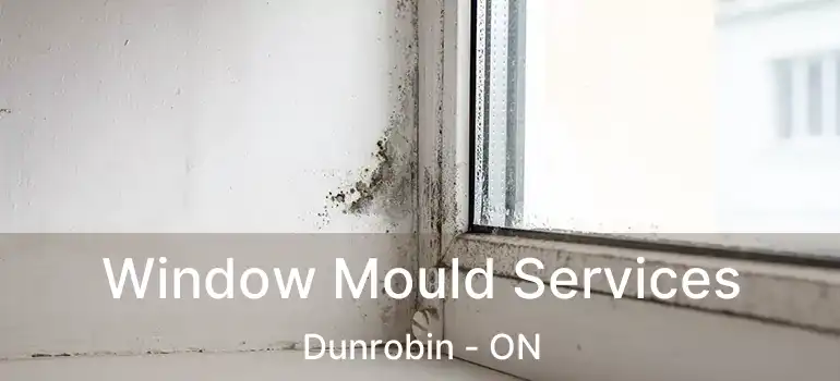  Window Mould Services Dunrobin - ON