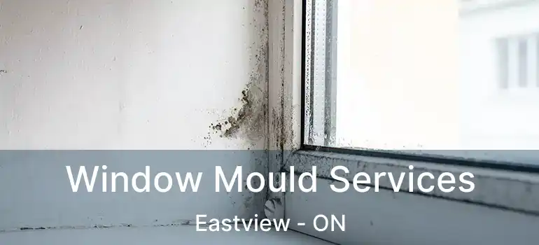  Window Mould Services Eastview - ON