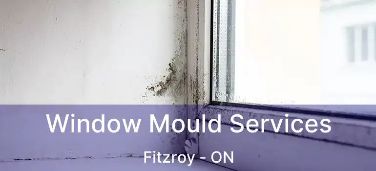  Window Mould Services Fitzroy - ON