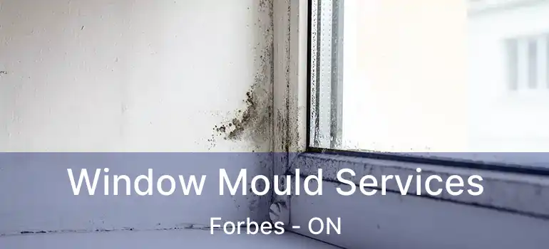  Window Mould Services Forbes - ON