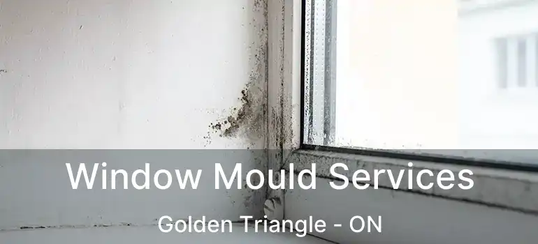  Window Mould Services Golden Triangle - ON