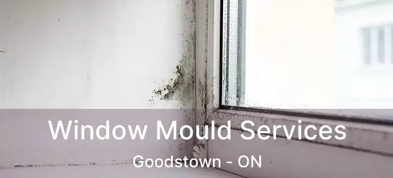  Window Mould Services Goodstown - ON