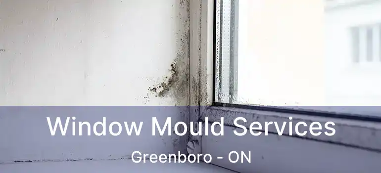  Window Mould Services Greenboro - ON