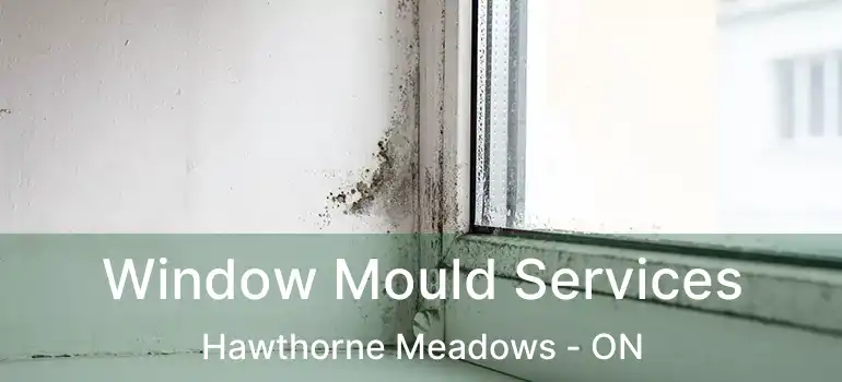  Window Mould Services Hawthorne Meadows - ON