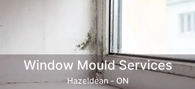  Window Mould Services Hazeldean - ON