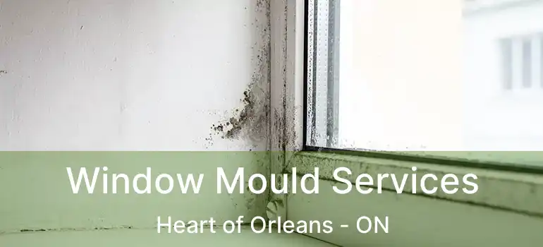  Window Mould Services Heart of Orleans - ON