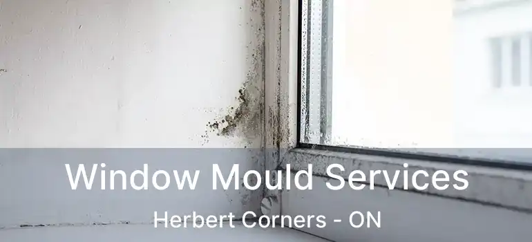  Window Mould Services Herbert Corners - ON