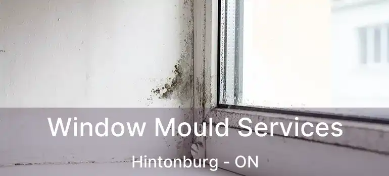  Window Mould Services Hintonburg - ON