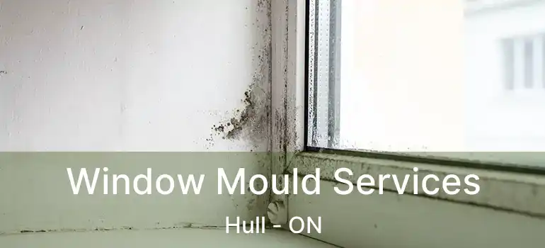  Window Mould Services Hull - ON