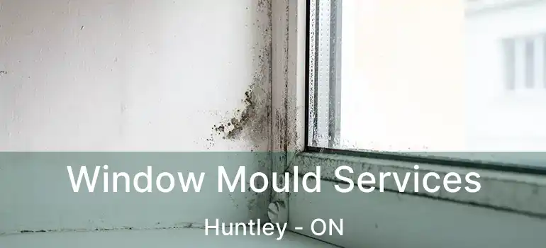  Window Mould Services Huntley - ON