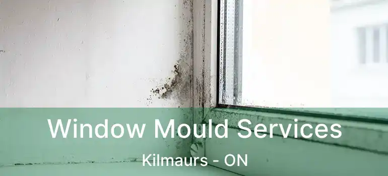  Window Mould Services Kilmaurs - ON