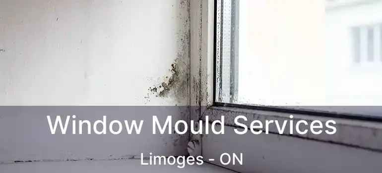  Window Mould Services Limoges - ON