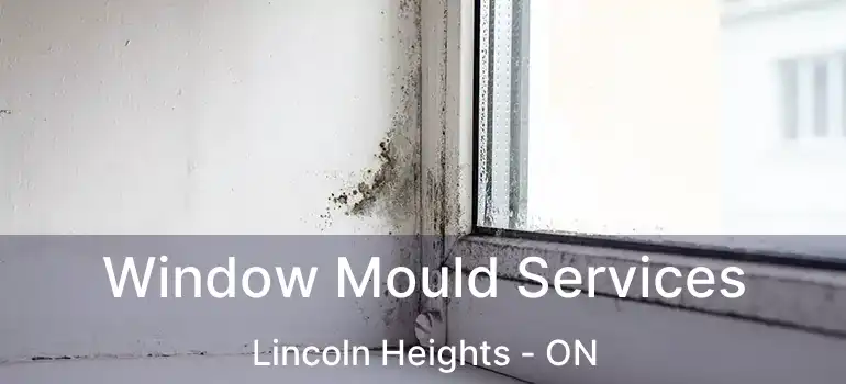  Window Mould Services Lincoln Heights - ON