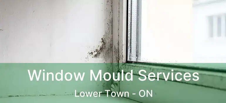  Window Mould Services Lower Town - ON