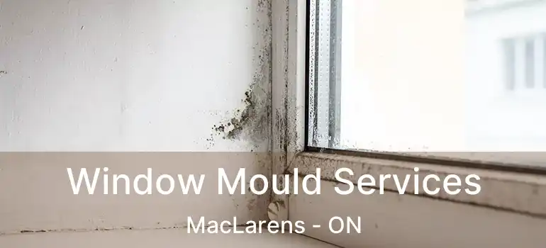  Window Mould Services MacLarens - ON