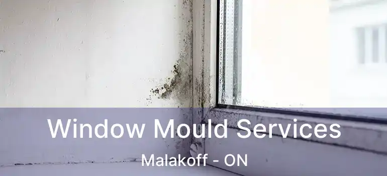  Window Mould Services Malakoff - ON