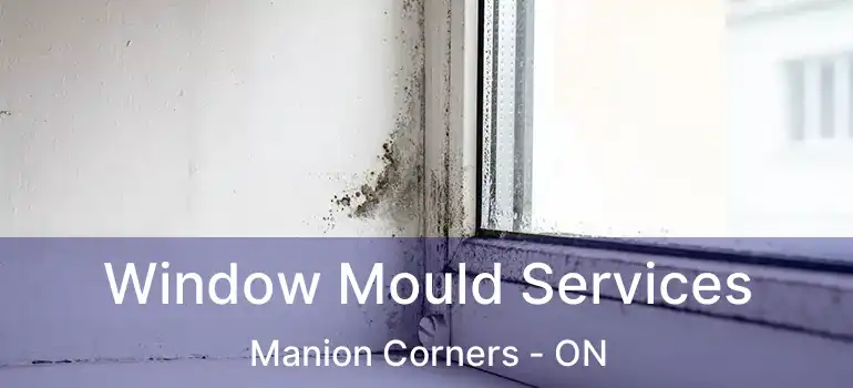  Window Mould Services Manion Corners - ON