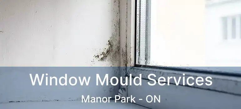  Window Mould Services Manor Park - ON