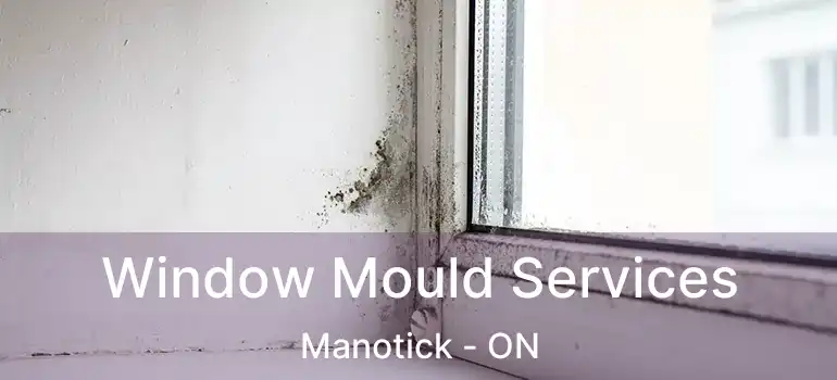  Window Mould Services Manotick - ON