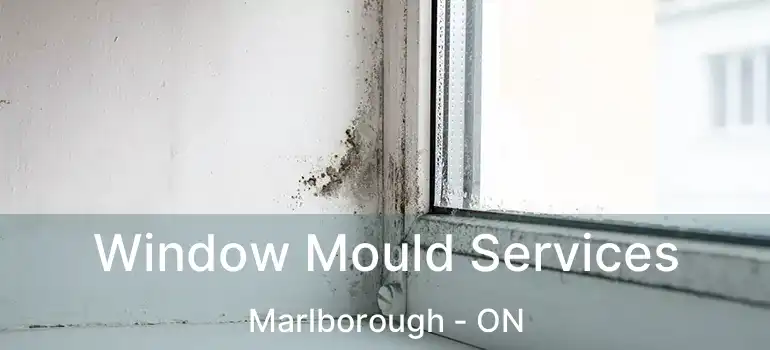  Window Mould Services Marlborough - ON