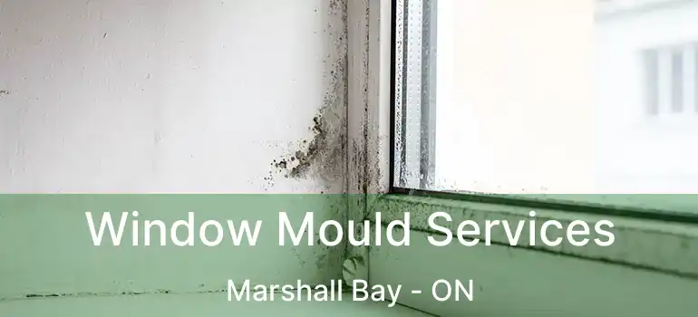  Window Mould Services Marshall Bay - ON