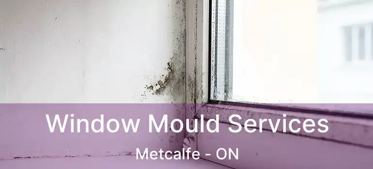  Window Mould Services Metcalfe - ON