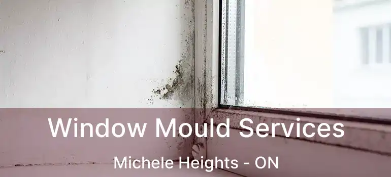  Window Mould Services Michele Heights - ON