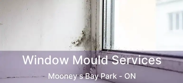  Window Mould Services Mooney s Bay Park - ON