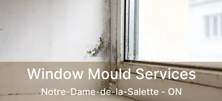  Window Mould Services Notre-Dame-de-la-Salette - ON