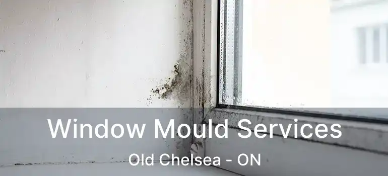  Window Mould Services Old Chelsea - ON