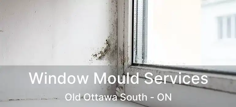  Window Mould Services Old Ottawa South - ON