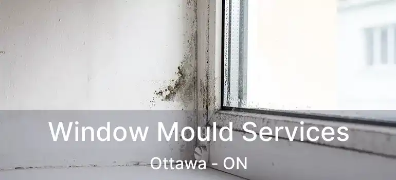  Window Mould Services Ottawa - ON