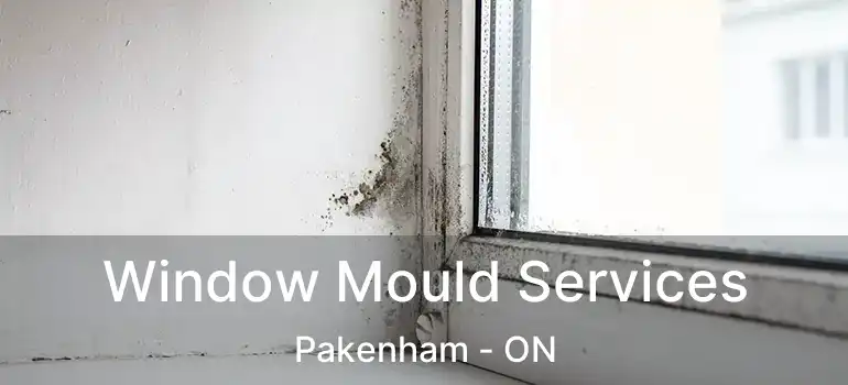  Window Mould Services Pakenham - ON