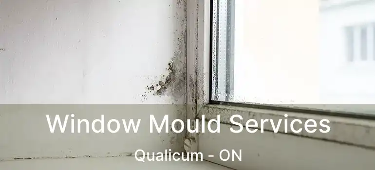  Window Mould Services Qualicum - ON