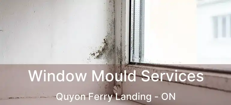  Window Mould Services Quyon Ferry Landing - ON