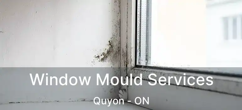  Window Mould Services Quyon - ON