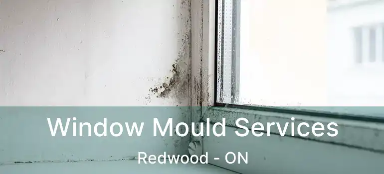  Window Mould Services Redwood - ON