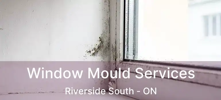  Window Mould Services Riverside South - ON