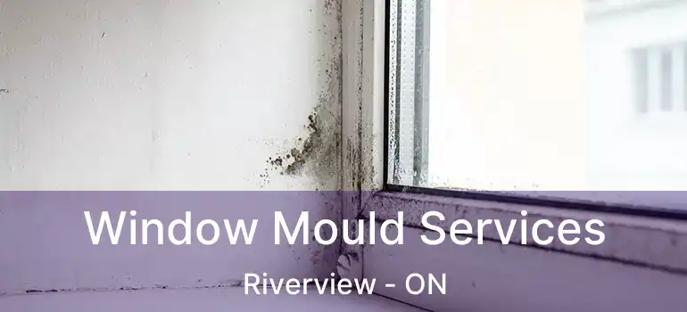  Window Mould Services Riverview - ON