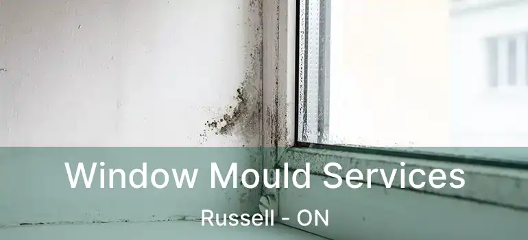  Window Mould Services Russell - ON