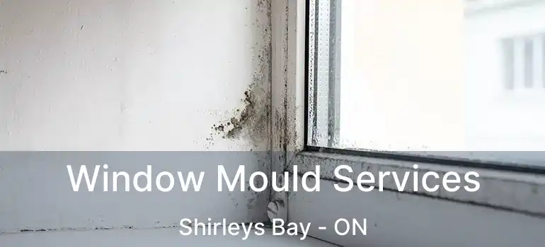  Window Mould Services Shirleys Bay - ON