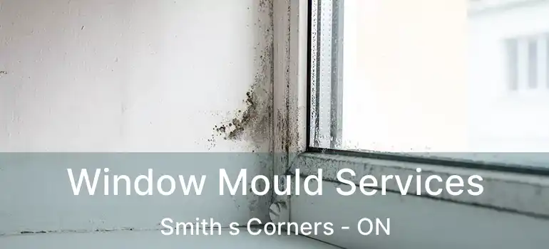  Window Mould Services Smith s Corners - ON