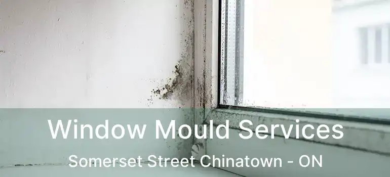  Window Mould Services Somerset Street Chinatown - ON