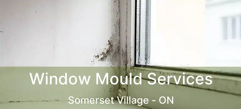  Window Mould Services Somerset Village - ON