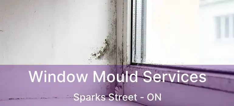  Window Mould Services Sparks Street - ON