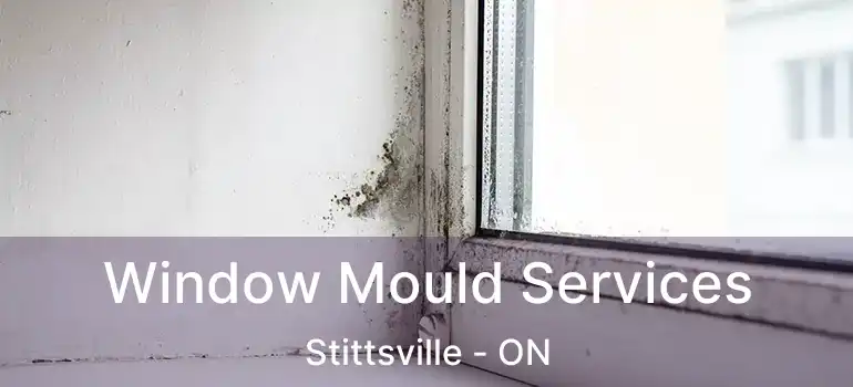  Window Mould Services Stittsville - ON